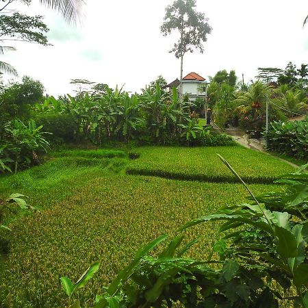 Mandala Hostel Ubud Dış mekan fotoğraf