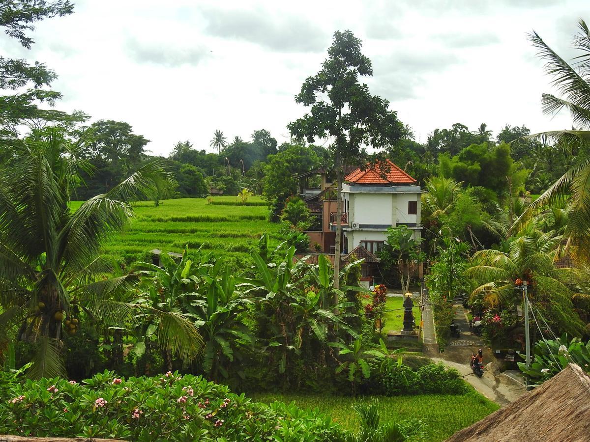 Mandala Hostel Ubud Dış mekan fotoğraf