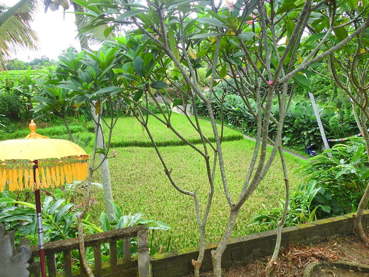 Mandala Hostel Ubud Dış mekan fotoğraf