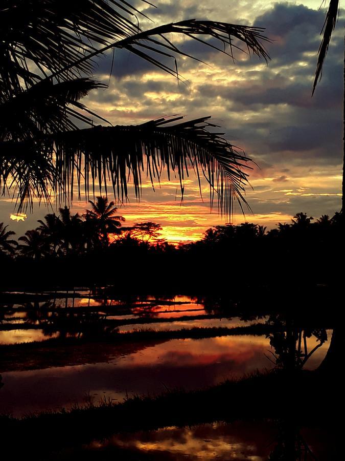 Mandala Hostel Ubud Dış mekan fotoğraf