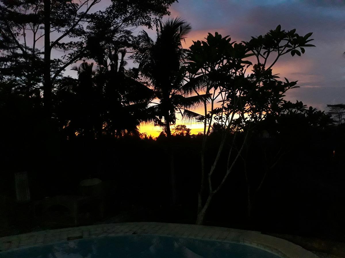 Mandala Hostel Ubud Dış mekan fotoğraf