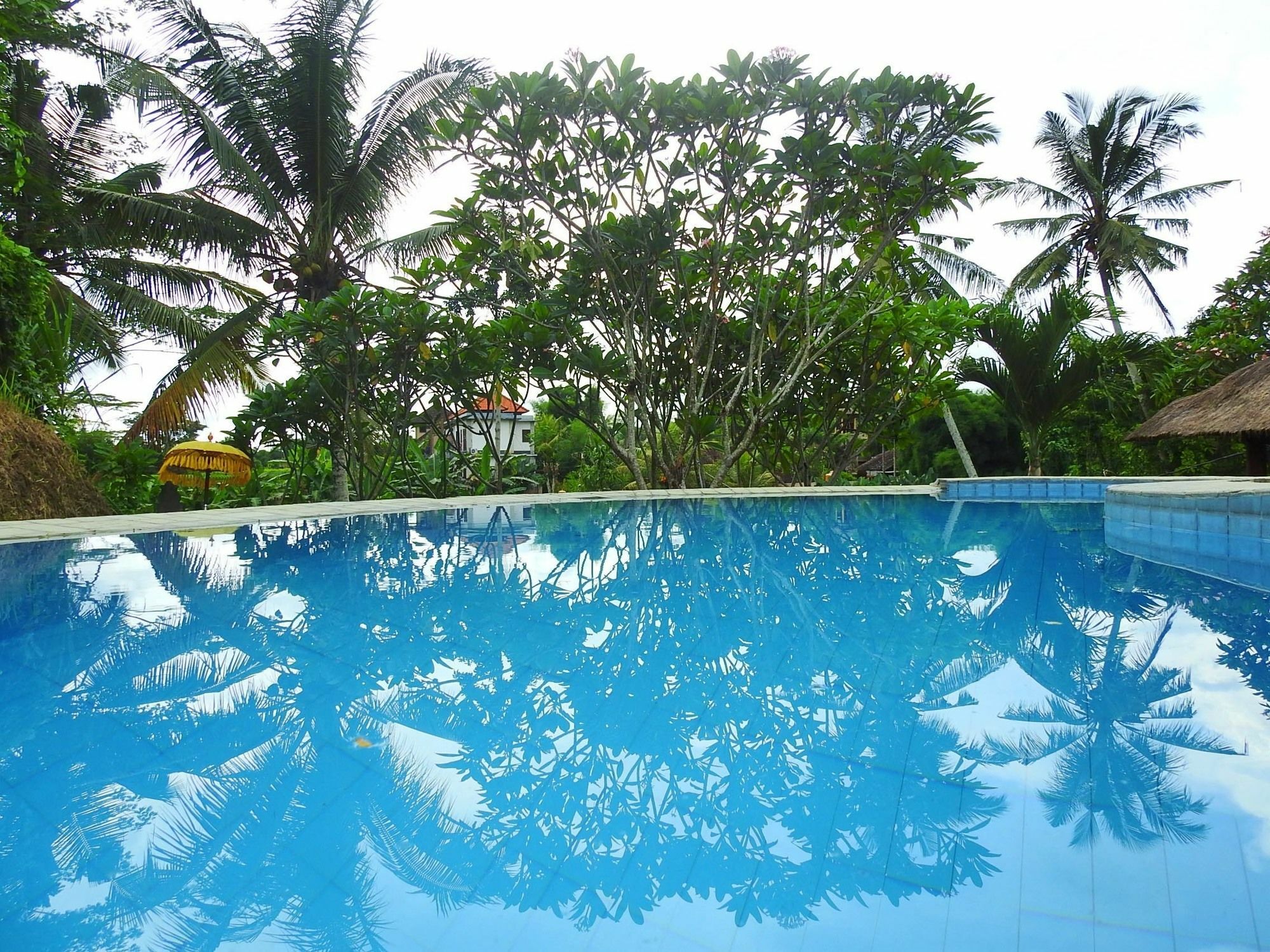 Mandala Hostel Ubud Dış mekan fotoğraf