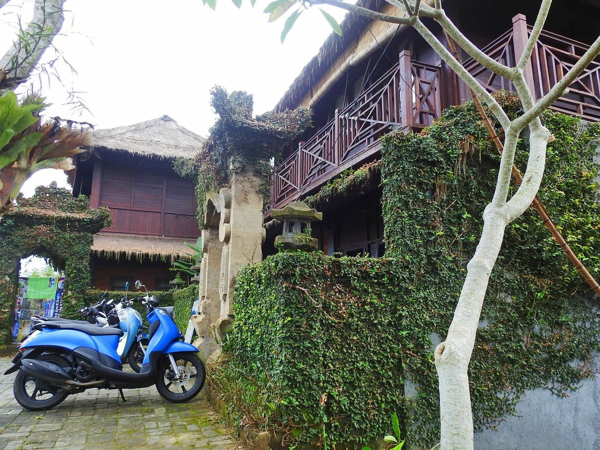 Mandala Hostel Ubud Dış mekan fotoğraf